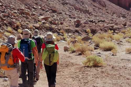 TREKKING NEL DESERTO DI ATACAMA 2015